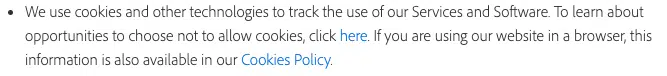 Adobe-privacy-policy-Internet-Cookies