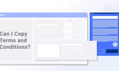 Can-I-Copy-Terms-and-Conditions-01 (en anglais)