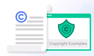 Copyright-Examples