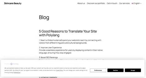 Example-cookie-consent-banner-generated-by-Termly