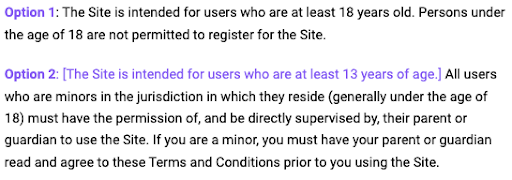 Termly-Business-Terms-and-Conditions-Template-two-options