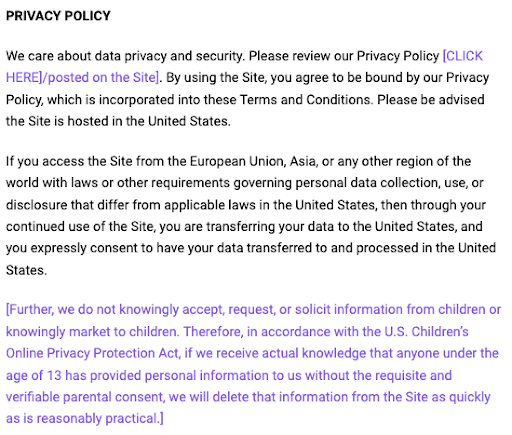 Termly-Privacy-Clause