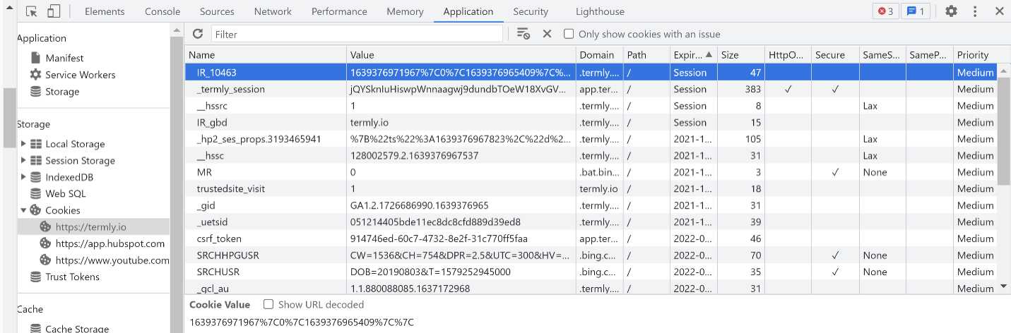 checking cookies in chrome - step 5