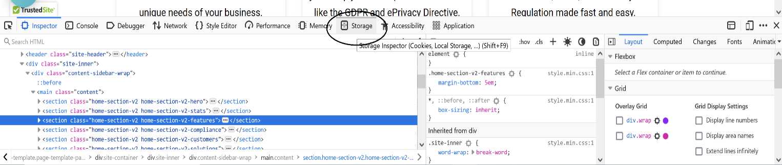 checking cookies in firefox - step 3